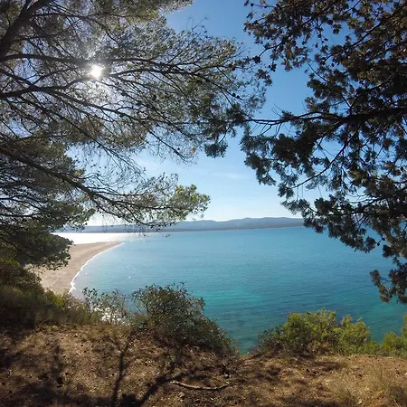 Dreams Of Διαμέρισμα Μπολ