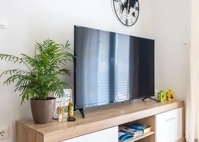 Dreams Of Apartamento Bol