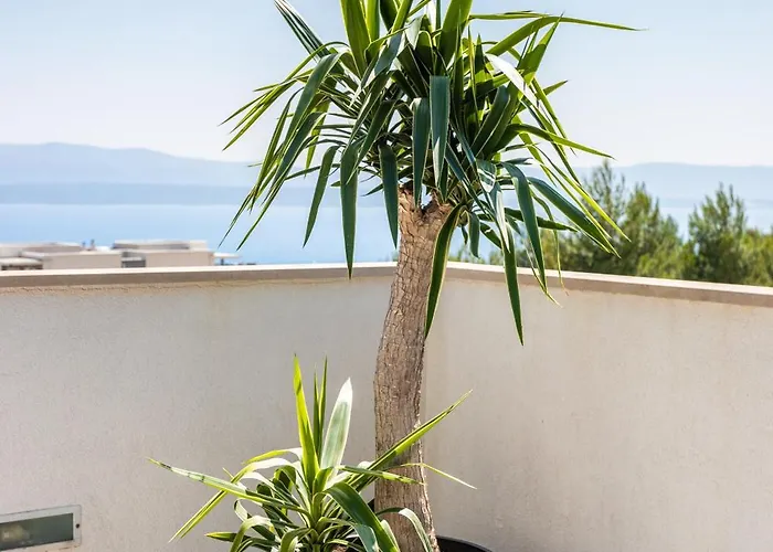 Apartamento Dreams Of Bol