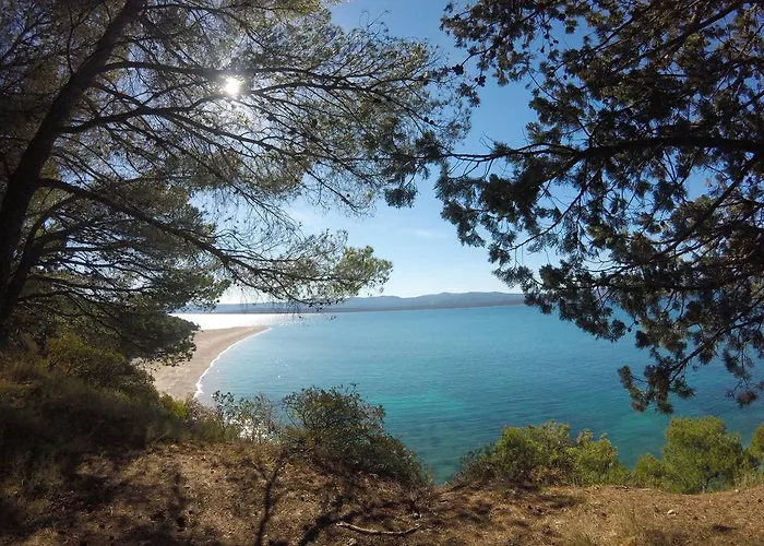 Dreams Of Apartamento Bol